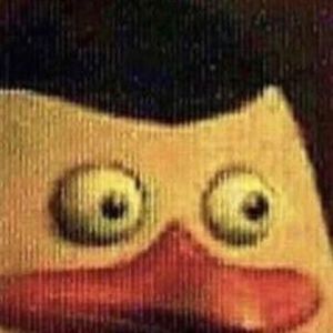 Meet your Posher, Chucho